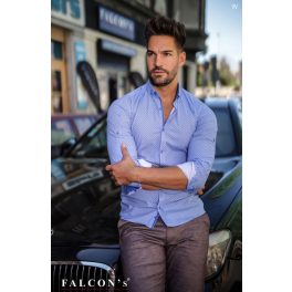 Falcon's ingek